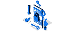 Software Vulnerability